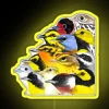 Vibrant bird-inspired LED sign with colorful RGB lighting effect display