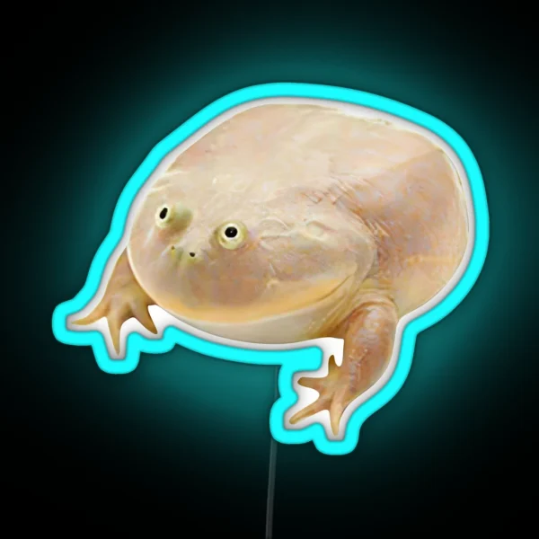 Wednesday Frog RGB Neon Sign