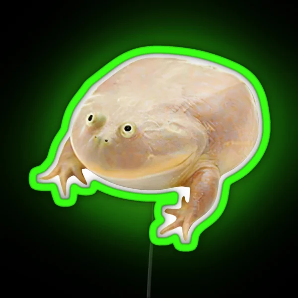 Wednesday Frog RGB Neon Sign