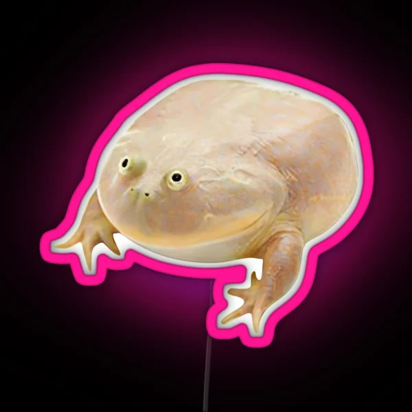 Wednesday Frog RGB Neon Sign