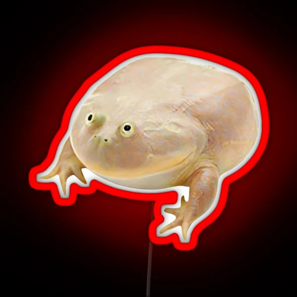 Wednesday Frog RGB Neon Sign