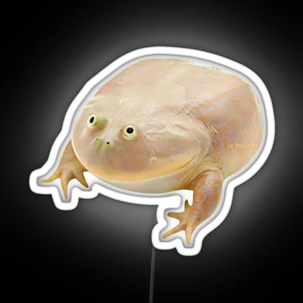 Wednesday Frog RGB Neon Sign