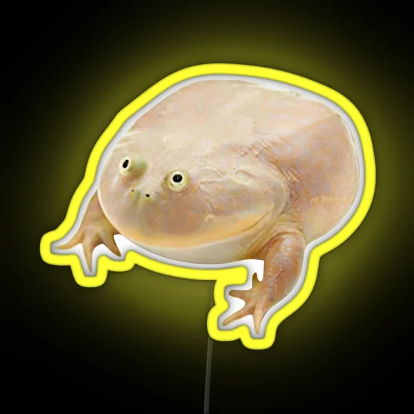 Wednesday Frog RGB Neon Sign