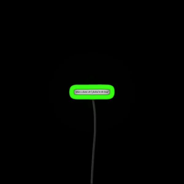 What A Shame She S F Cked In The Head RGB Neon Sign