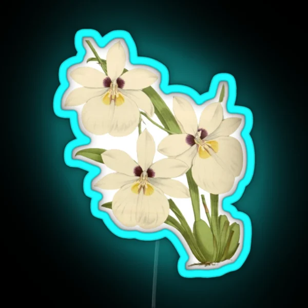 White Orchid Botanical Illustration RGB Neon Sign