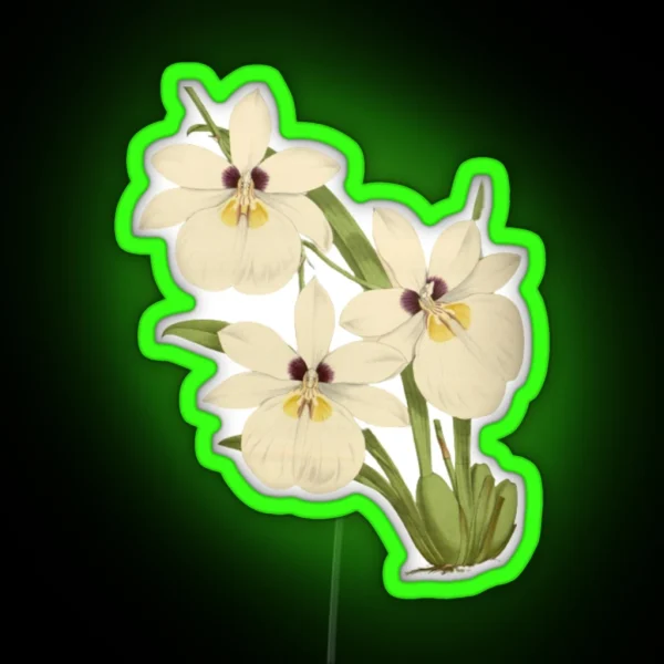 White Orchid Botanical Illustration RGB Neon Sign