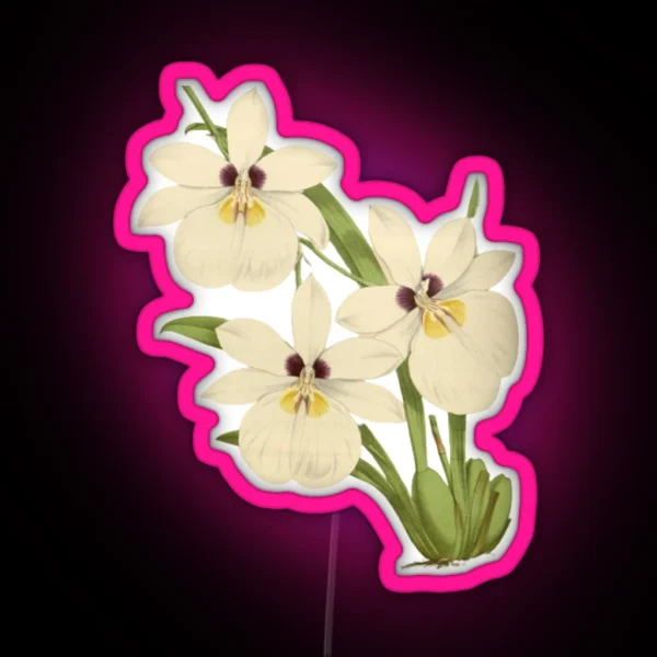 White Orchid Botanical Illustration RGB Neon Sign