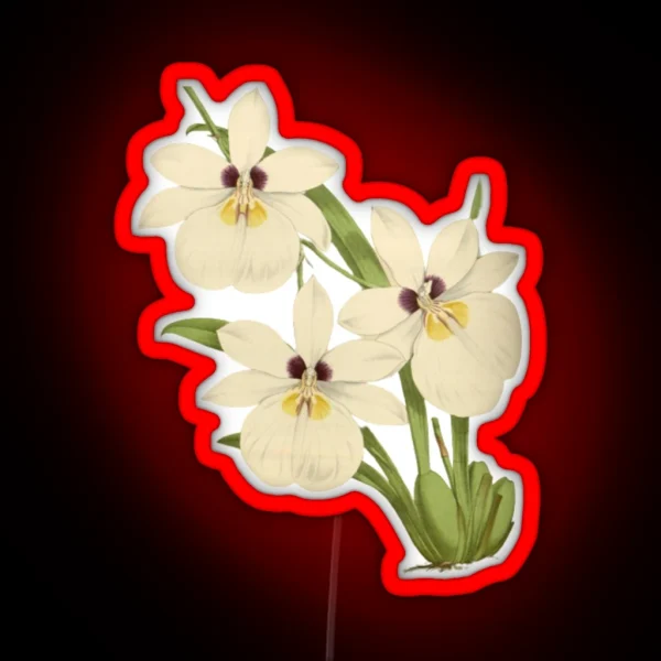 White Orchid Botanical Illustration RGB Neon Sign