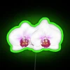 Elegant White Orchid LED Neon Sign Lighting Decor Home Accents