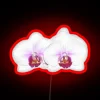 Soft white orchid blooms against vibrant RGB LED glow