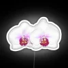 Electric white orchid blooms in vibrant, color-changing RGB neon beauty.