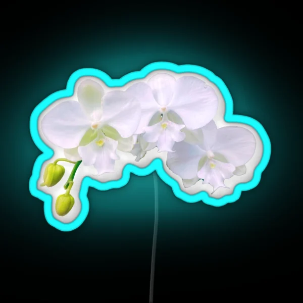 White Orchid Trio RGB Neon Sign