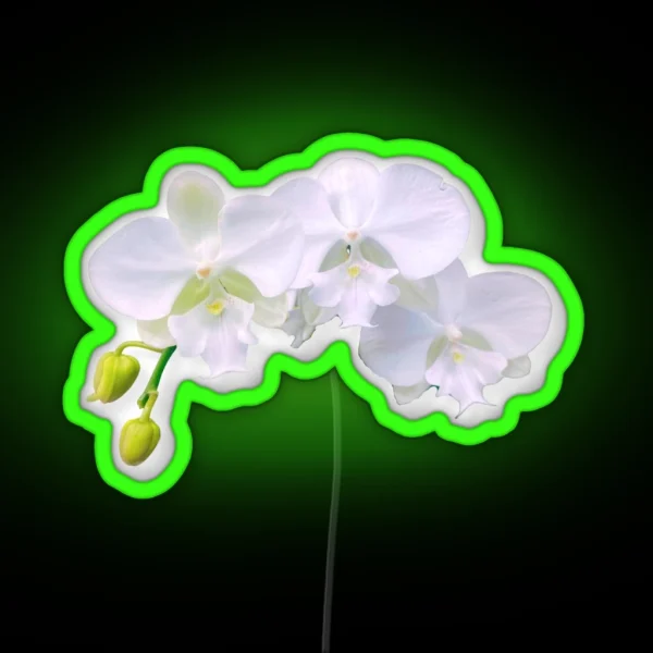 White Orchid Trio RGB Neon Sign