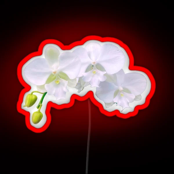 White Orchid Trio RGB Neon Sign