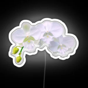 White Orchid Trio RGB Neon Sign