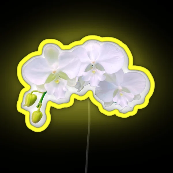 White Orchid Trio RGB Neon Sign