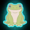 RGB Colorful Tropical Amphibian Neon Sign with Green Blue Eyes Glow