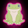 Vibrant, colorful LED tree frog neon sign for indoor decor.