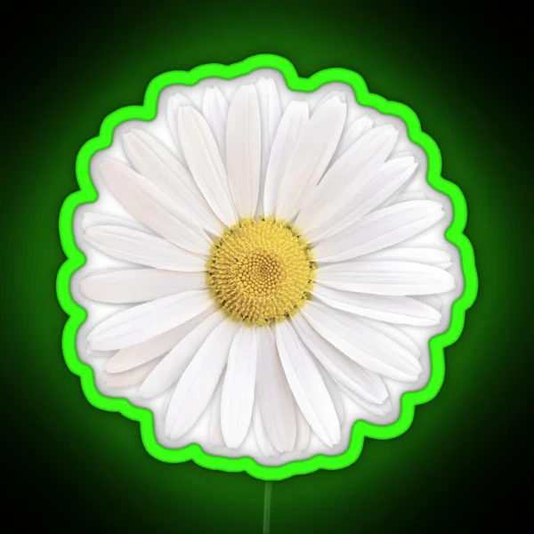 White Shasta Daisy Flower Floral Led RGB Neon Sign