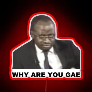 Why Are You Gae Meme Uganda Gay Rights Interview Viral Video RGB Neon Sign