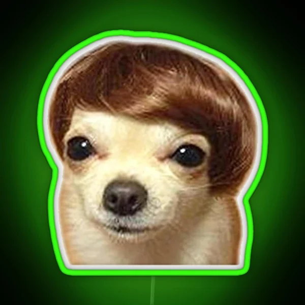 Wig Dog Meme RGB Neon Sign