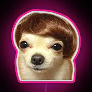 Wig Dog Meme RGB Neon Sign