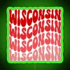 Retro Style Wisconsin State Wave Neon Sign with Color Changing RGB