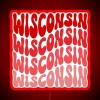 Vintage inspired Wisconsin state symbol with colorful glowing neon accents.