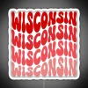 Wisconsin themed retro wave color changing RGB neon wall decoration
