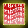 Unique vintage inspired Wisconsin state retro wave LED neon lighting.