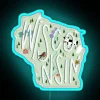 Vintage Wisconsin State Symbol RGB Neon Sign Bar Decorations Gift