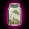 Vibrant Wizard Frog Glows in a Glass Neon Art Display
