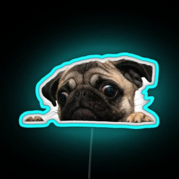 Worried Pug RGB Neon Sign