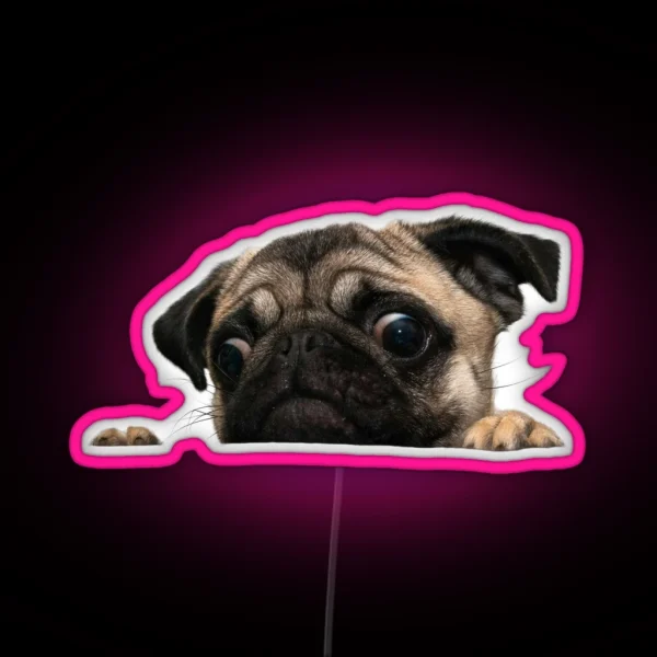 Worried Pug RGB Neon Sign