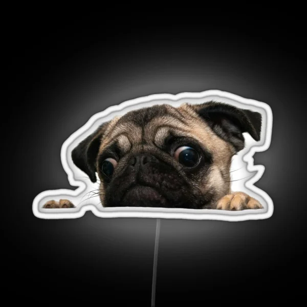 Worried Pug RGB Neon Sign