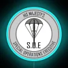 Vintage Inspired WWII SOE Symbolic Neon Sign with RGB Illumination