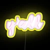 Vibrant Color Changing LED Display Backlight Sign with Full Rainbow Effect