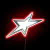 Vintage Y2K Era Inspired Color-Changing Neon Star Wall Decoration Sign