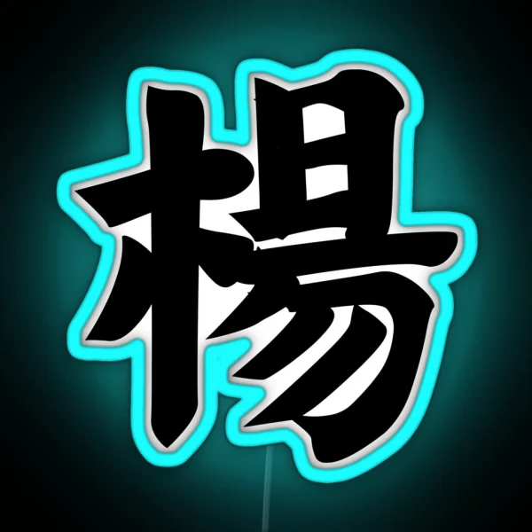 Yang Yeung Yeong Young Chinese Surname Last RGB Neon Sign