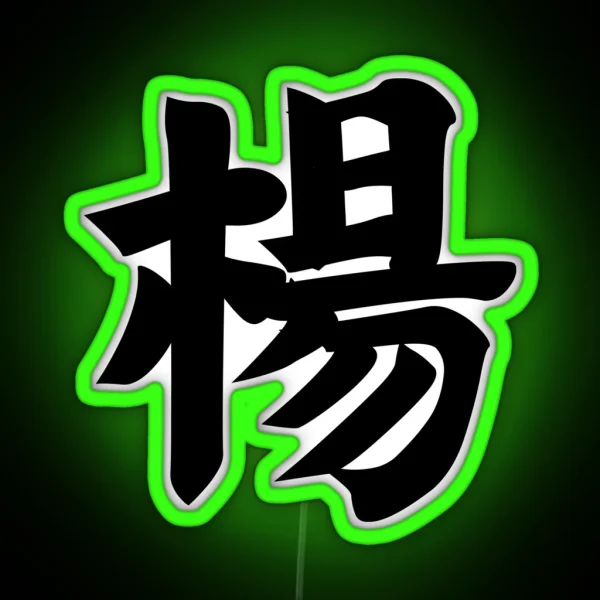 Yang Yeung Yeong Young Chinese Surname Last RGB Neon Sign