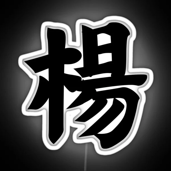 Yang Yeung Yeong Young Chinese Surname Last RGB Neon Sign