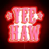 Western ranch style lighting with vibrant RGB neon letters