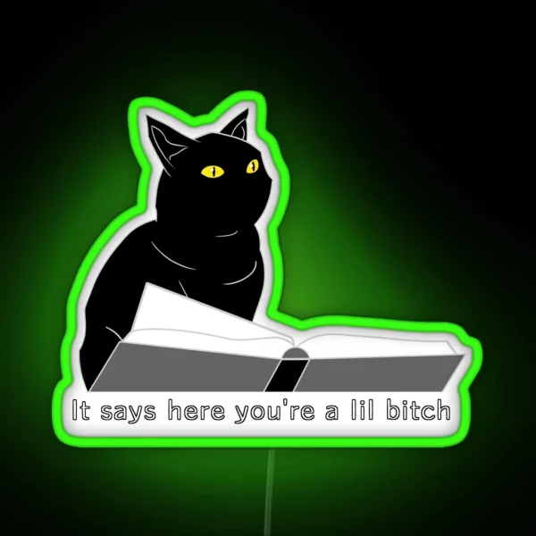 You Re A Lil RGB Neon Sign