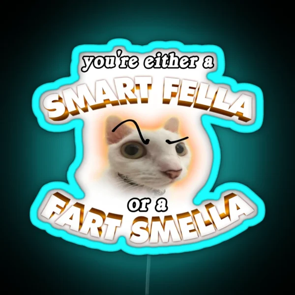 You Re A Smart Fella Or A Fart Smella RGB Neon Sign
