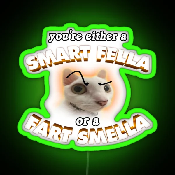 You Re A Smart Fella Or A Fart Smella RGB Neon Sign