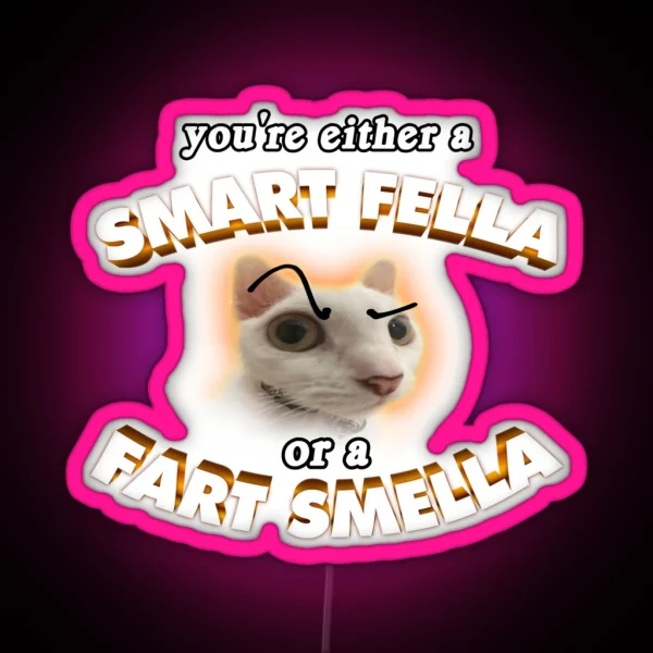 You Re A Smart Fella Or A Fart Smella RGB Neon Sign