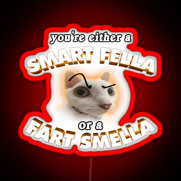 You Re A Smart Fella Or A Fart Smella RGB Neon Sign