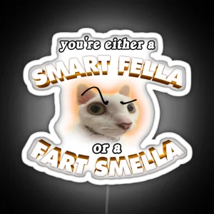 You Re A Smart Fella Or A Fart Smella RGB Neon Sign