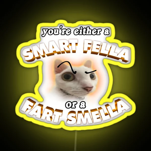 You Re A Smart Fella Or A Fart Smella RGB Neon Sign