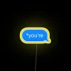 Customizable High-Intensity Color-Changing LED Sign for Indoor Outdoor Use Displays.